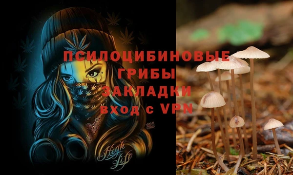 трава Абаза