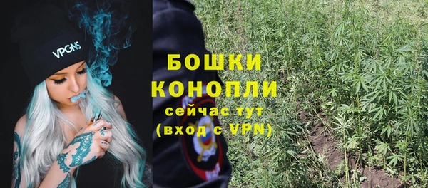 трава Абаза
