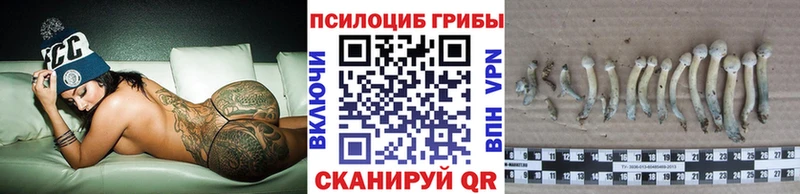 маркетплейс клад кракен ссылки Магнитогорск Псилоцибиновые грибы мицелий